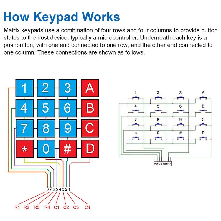 EDA009036402_4.jpg@3e3ae8ae8c1a8056a75c942ec5b963f1