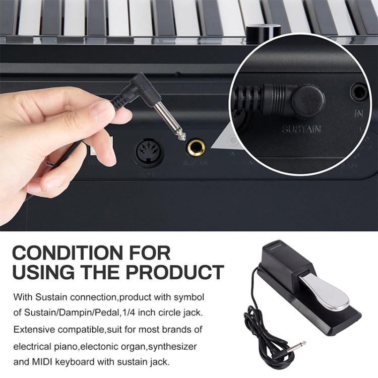 EDA009054101A_4.jpg@8603e56dc4286bcfa0478d3194a951f3