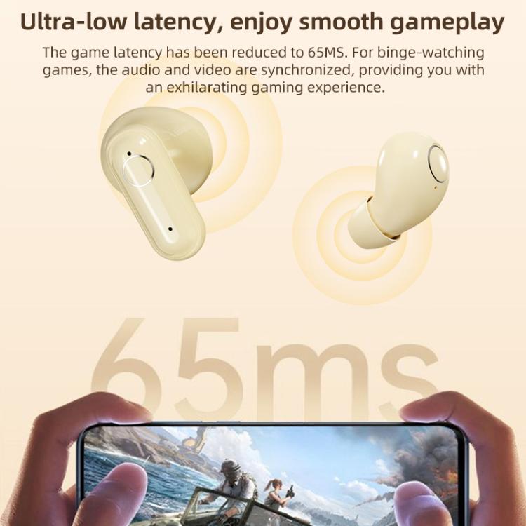 EDA0090580_B8.jpg@9feb22e21085140b5816d238c256038a