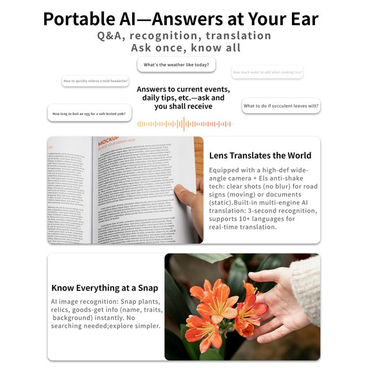 EDA009062301A_9.jpg@6ed485ae681ba54fbcf4a7f38bd0f06f