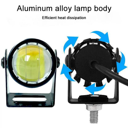 EDA0090826_B3.jpg@f9602ad9ca58ab45ac79f0ee27bed625