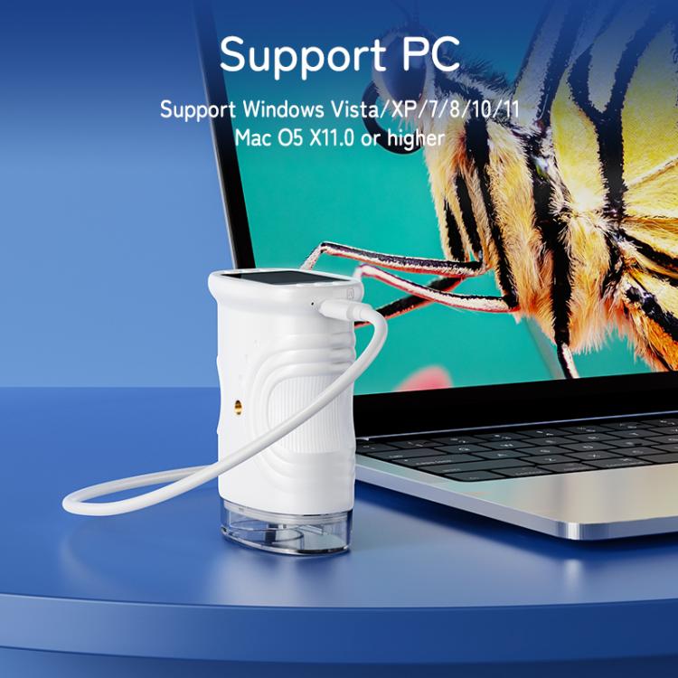 EDA009329901D_8.jpg@500dbbc3723bd7d67ac5e6e14f45352a