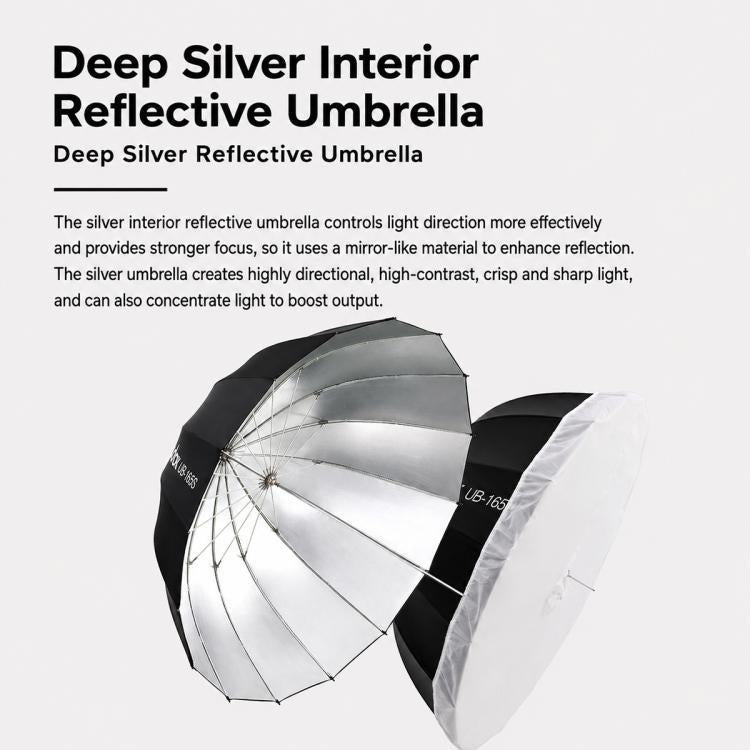 EDA0097975_B9.jpg@c1bfc216c14748a4538f42f6f54dbe33