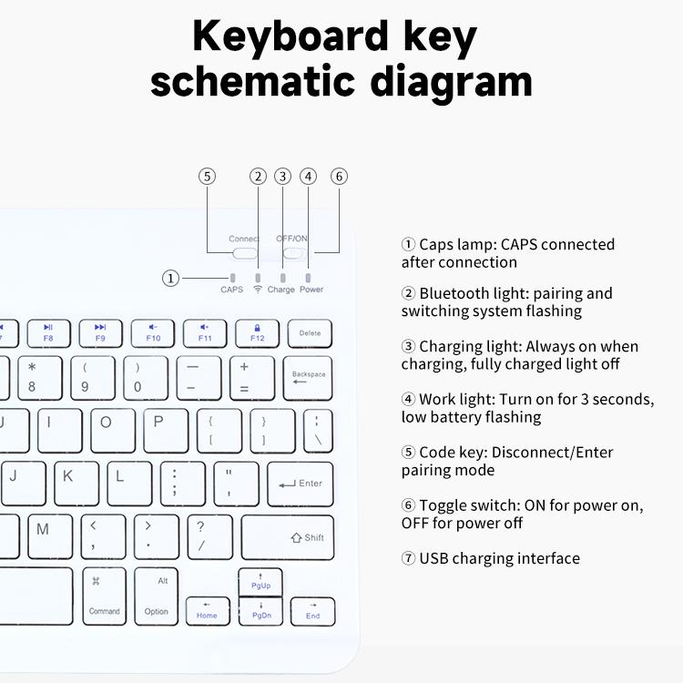 EDA0099967_B9.jpg@f5d116b0e6636b9f6e1766d0da2b8556