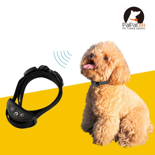 PaiPaitek PD258 Automatic Anti Barking Collar Pet Training Control System for Dogs, S Size(Black)