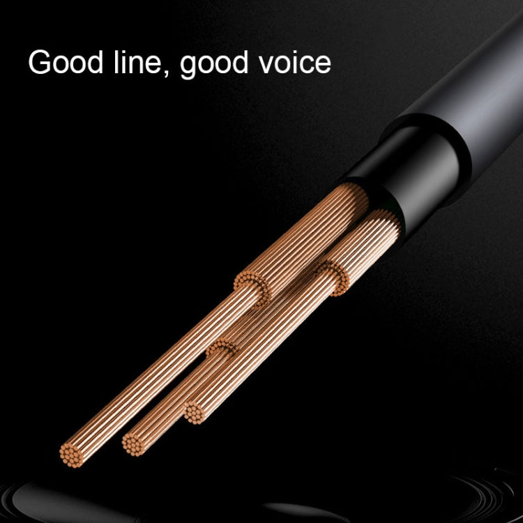 MH-CM32 8 Pin & Type-C to 3.5mm Jack Mobile Phone Audio Cable by buy2fix