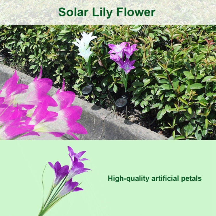 Simulated Lily Flower 4 Heads Solar Powered Outdoor IP55 Waterproof LED Decorative Lawn Lamp, White Light (Pink) by buy2fix