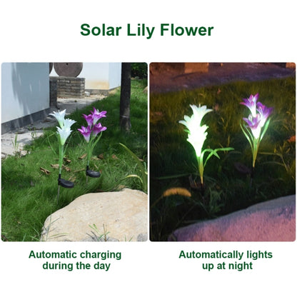 Simulated Lily Flower 4 Heads Solar Powered Outdoor IP55 Waterproof LED Decorative Lawn Lamp, White Light (Pink) by buy2fix