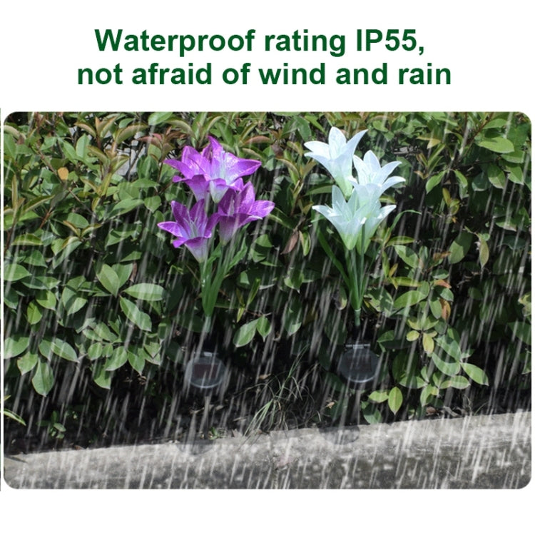 Simulated Lily Flower 4 Heads Solar Powered Outdoor IP55 Waterproof LED Decorative Lawn Lamp, White Light (Pink) by buy2fix