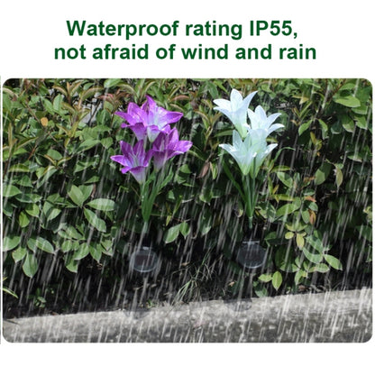 Simulated Lily Flower 4 Heads Solar Powered Outdoor IP55 Waterproof LED Decorative Lawn Lamp, White Light (Pink) by buy2fix