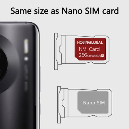 HOSINGLOBAL 90MB/s 256GB NM Card - Micro SD Card by buy2fix | Online Shopping UK | buy2fix