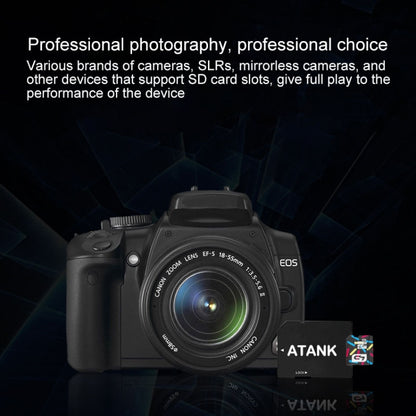 MC5485_6.jpg@1cd0a1a400c179c9ff03eb3dba4e5b8a