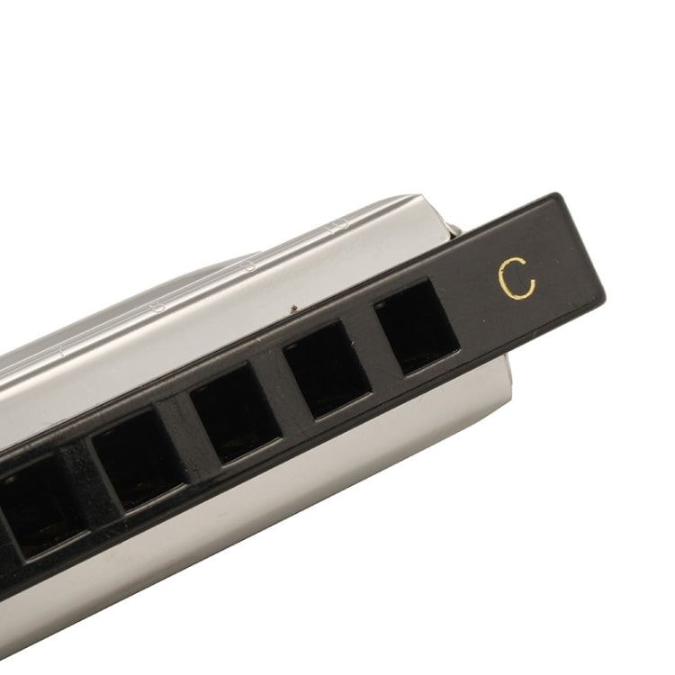 Swan SW1020-7 10 Holes Diatonic Blues Harp Harmonica Adult Student Children Beginner Instruments by buy2fix