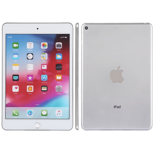 For iPad Mini 5 Color Screen Non-Working Fake Dummy Display Model (Silver) - For iPhone & iPad by buy2fix | Online Shopping UK | buy2fix