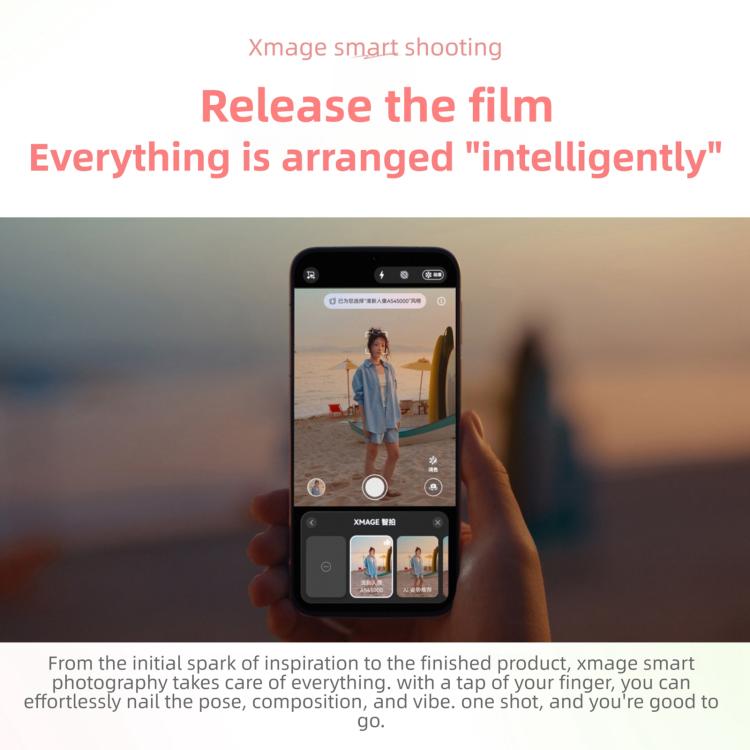 MPH2246_B6.jpg@80d1a35e6e70a67087dc4b522e9c2602