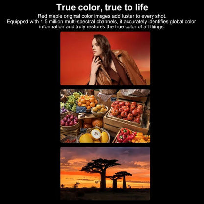 MPH2798_B9.jpg@e2a669b0503b09f050c19a534113b8e3