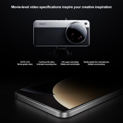 MPH2832_B15.jpg@eaf4485d7a93a394165f9da91b16bc84