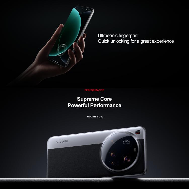 MPH2833_B18.jpg@375d830aa042003f1ad4e6364365980a