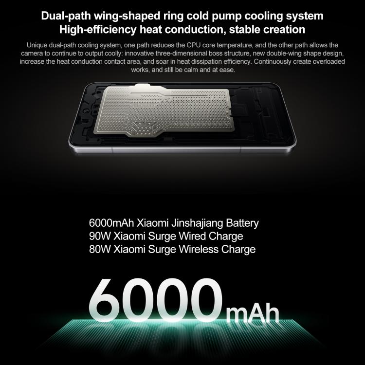 MPH2833_B20.jpg@b6be91b3e6caba578396935e77313548