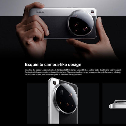 MPH2833_B4.jpg@625509926373464884218a37824a9e74