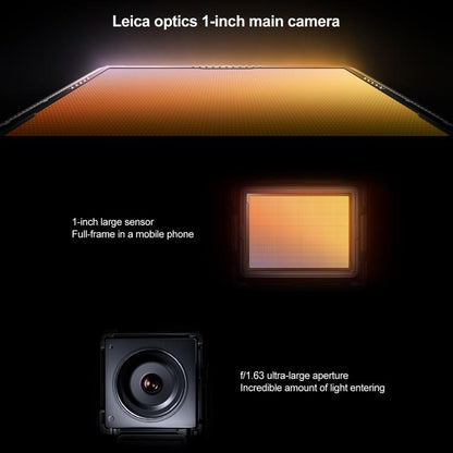 MPH2834_B8.jpg@c71348f0fa61030ba7e9038f74cf4a45