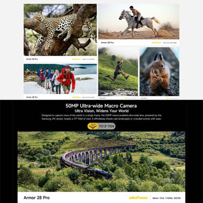 MPH2891B_12.jpg@b22976cb883a7e2d554ea935cd2ad83d