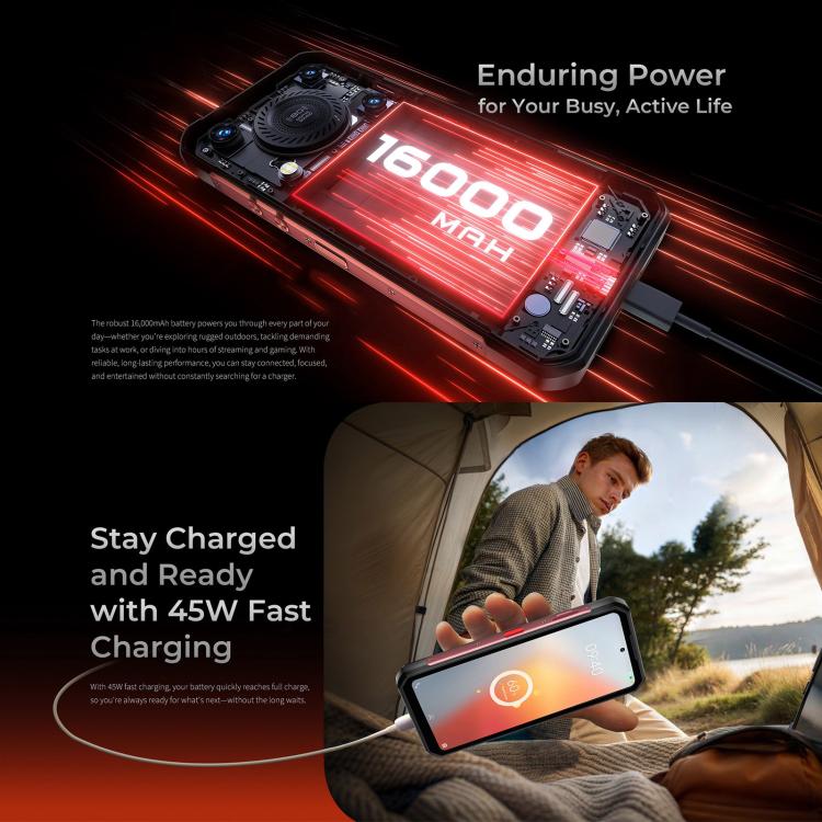 MPH2968_B2.jpg@b8f639c3dab8f0219b0e0c423e5fcfd7