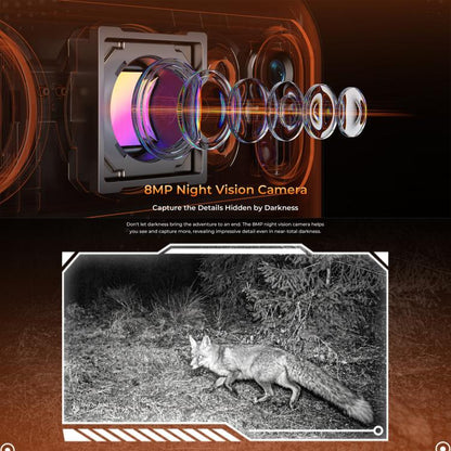 MPH3153_B10.jpg@989ef914e65a080e5f414e45856d2cf3