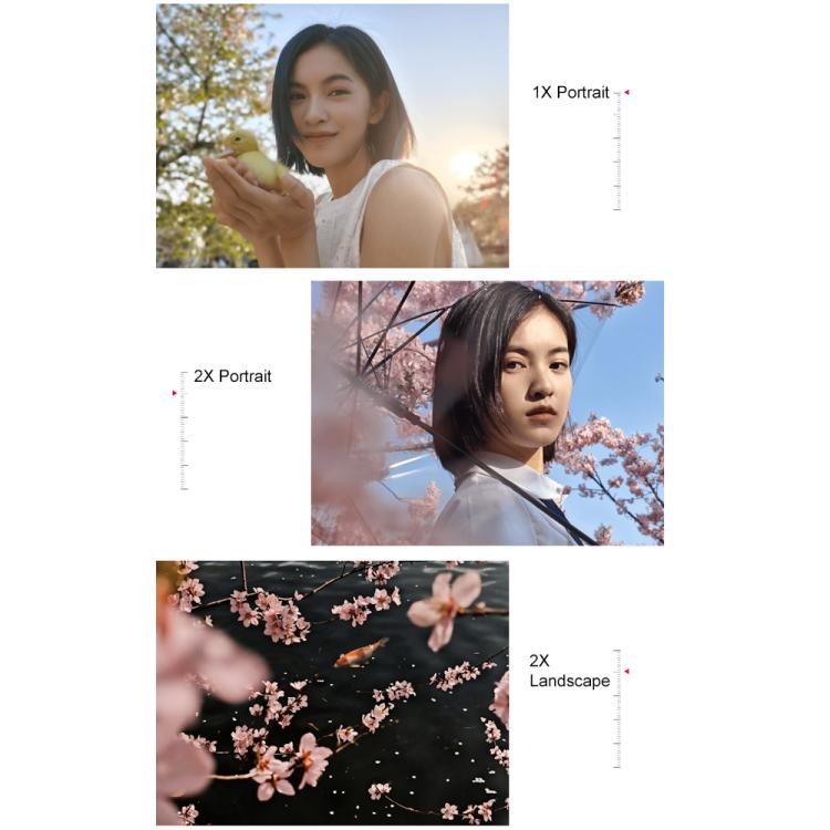 MPH3531_B10.jpg@911729c05c5f389780b1a12b734bcce4