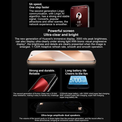 MPH4407_B15.jpg@e401709b5ba889b0f7f59b2432d46d06