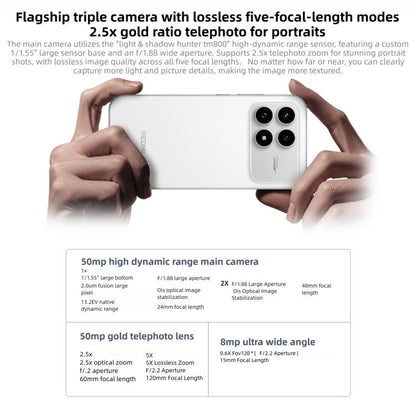 MPH4460_B8.jpg@e8714cd7da721a1d4b7fdd0fa9391e90