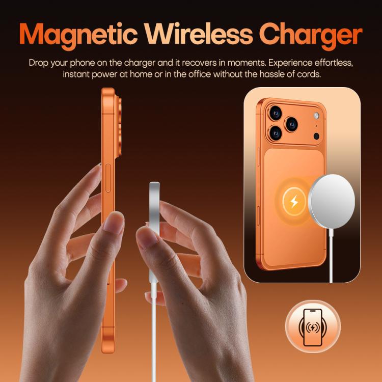 MPH4491_B12.jpg@9aa9185a48798475b5a6bfbe37f355a1