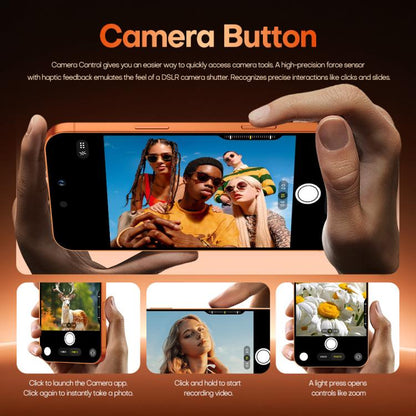 MPH4493_B8.jpg@17befe21210a9c59d805b1efa3550396