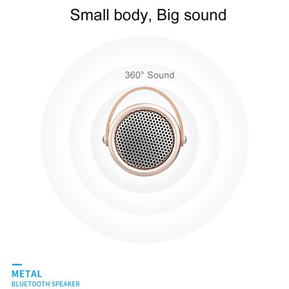 A056  Portable Outdoor Metal Bluetooth V4.1 Speaker with Mic, Support Hands-free & AUX Line In (Black) - Desktop Speaker by buy2fix | Online Shopping UK | buy2fix