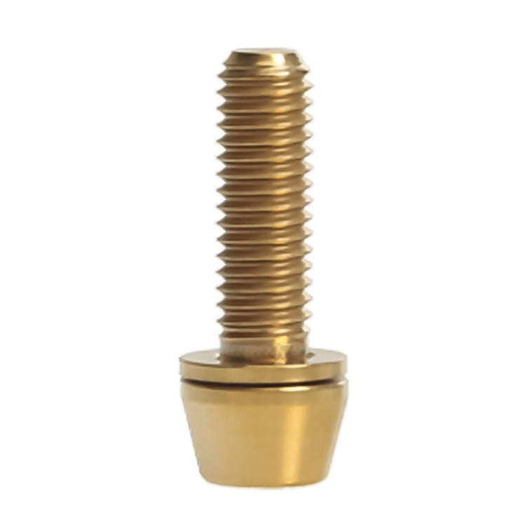 TOSEEK Bicycle Handlebar Stem Screw Titanium Alloy M5x16mm Mountain Bike  Fixed Gear Handlebar Stem Screw with Gasket (Gold) - Bicycle Grips by TOSEEK | Online Shopping UK | buy2fix