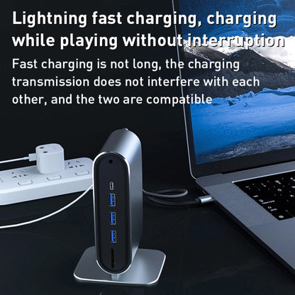 BYL-2201 12 in 1 USB-C / Type-C HUB Adapter by buy2fix