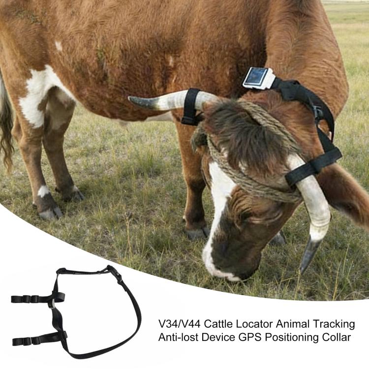 PSP0135_2.jpg@931bcd874463ac961e673542b3232d6d