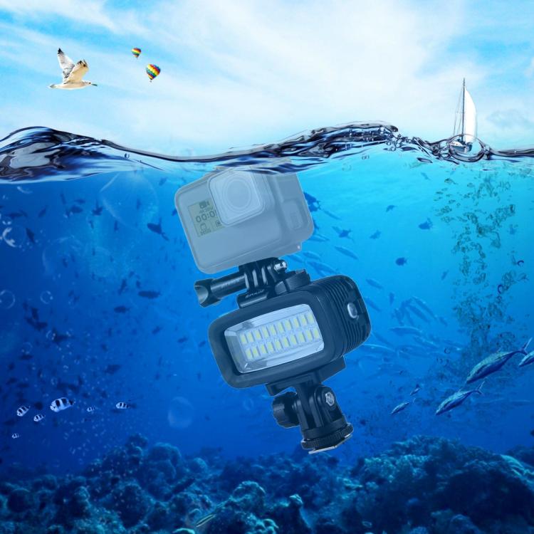 PULUZ 20 LEDs 40m Waterproof IPX8 Studio Light Video & Photo Light with Hot Shoe Base Adapter & Quick Release Buckle & Long Screw & 2 x Filter Plates for GoPro HERO10 Black / HERO9 Black / HERO8 Black ... n /4 /3+ /3 /2 /1, Xiaoyi and Other Action Cameras -  by PULUZ | Online Shopping UK | buy2fix