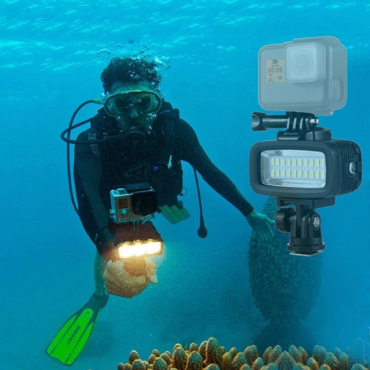PULUZ 20 LEDs 40m Waterproof IPX8 Studio Light Video & Photo Light with Hot Shoe Base Adapter & Quick Release Buckle & Long Screw & 2 x Filter Plates for GoPro HERO10 Black / HERO9 Black / HERO8 Black ... n /4 /3+ /3 /2 /1, Xiaoyi and Other Action Cameras -  by PULUZ | Online Shopping UK | buy2fix
