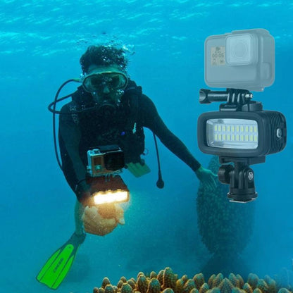 PULUZ 20 LEDs 40m Waterproof IPX8 Studio Light Video & Photo Light with Hot Shoe Base Adapter & Quick Release Buckle & Long Screw & 2 x Filter Plates for GoPro HERO10 Black / HERO9 Black / HERO8 Black ... n /4 /3+ /3 /2 /1, Xiaoyi and Other Action Cameras -  by PULUZ | Online Shopping UK | buy2fix