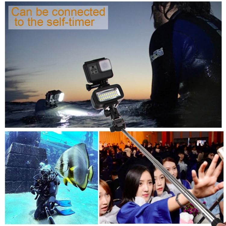 PULUZ 20 LEDs 40m Waterproof IPX8 Studio Light Video & Photo Light with Hot Shoe Base Adapter & Quick Release Buckle & Long Screw & 2 x Filter Plates for GoPro HERO10 Black / HERO9 Black / HERO8 Black ... n /4 /3+ /3 /2 /1, Xiaoyi and Other Action Cameras -  by PULUZ | Online Shopping UK | buy2fix