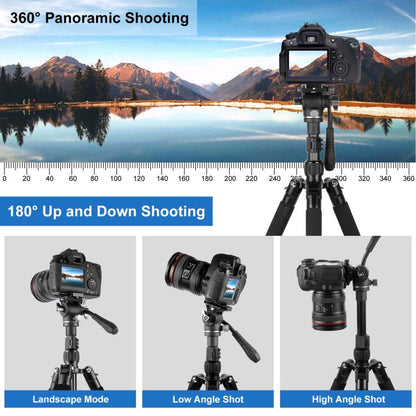 PULUZ 1.6m Reverse-Folding Professional Video Tripod with Fluid Drag Head (Black) - Tripods by PULUZ | Online Shopping UK | buy2fix