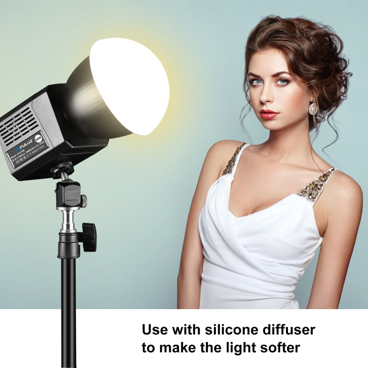 PULUZ 60W Studio Video Light 2500K-6500K Dual Color Temperature Professional Photography Fill Light (Black) - Shoe Mount Flashes by PULUZ | Online Shopping UK | buy2fix