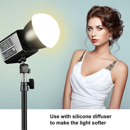 PULUZ 60W Studio Video Light 2500K-6500K Dual Color Temperature Professional Photography Fill Light (Black) - Shoe Mount Flashes by PULUZ | Online Shopping UK | buy2fix
