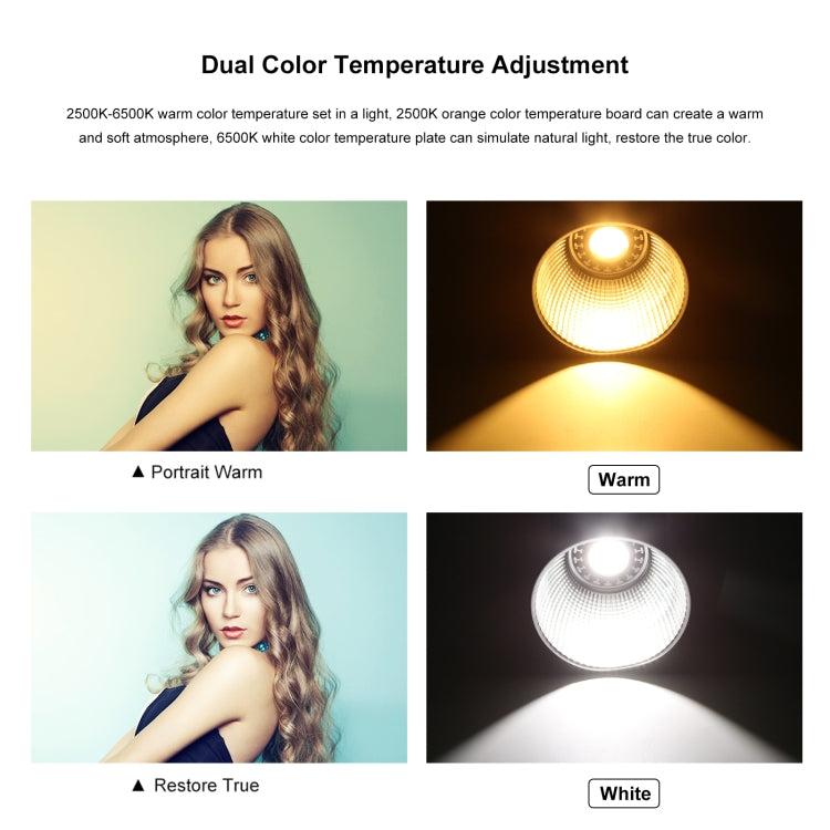 PULUZ 60W Studio Video Light 2500K-6500K Dual Color Temperature Professional Photography Fill Light (Black) - Shoe Mount Flashes by PULUZ | Online Shopping UK | buy2fix
