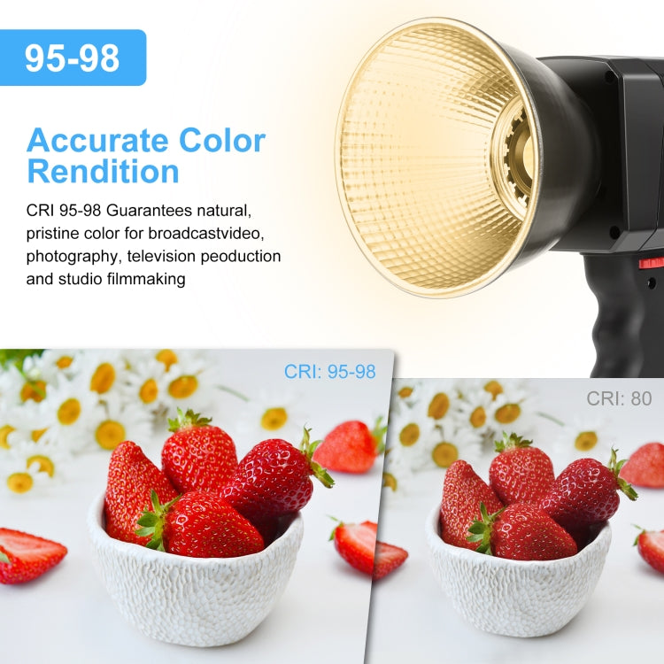 PULUZ 60W Studio Video Light 2500K-6500K Dual Color Temperature Professional Photography Fill Light (Black) - Shoe Mount Flashes by PULUZ | Online Shopping UK | buy2fix