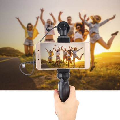 PULUZ Pocket Mini Plastic Tripod Mount with Phone Clamp for Smartphones(Black) - Tripods by PULUZ | Online Shopping UK | buy2fix