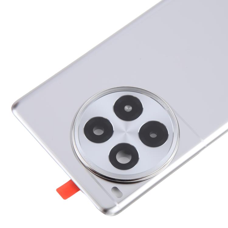For OnePlus Ace 3 Pro PJX110 Original Glass Battery Back Cover with Camera Lens(Silver) - Back Cover by buy2fix | Online Shopping UK | buy2fix