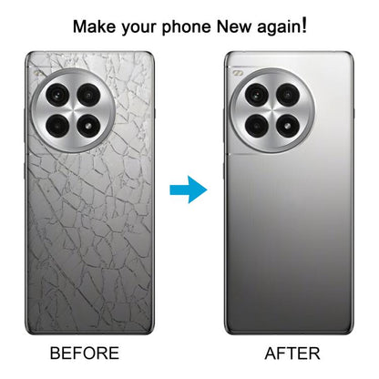 For OnePlus Ace 3 Pro PJX110 Original Glass Battery Back Cover with Camera Lens(Silver) - Back Cover by buy2fix | Online Shopping UK | buy2fix