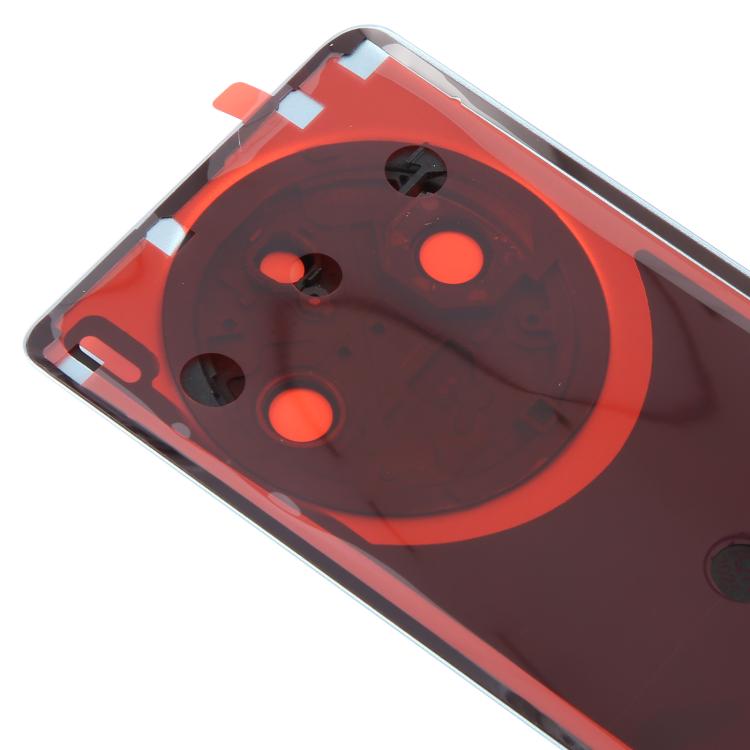 For vivo X100 Pro 5G V2324A V2309 Original Back Cover with Camera Lens Cover(Blue) - Back Cover by buy2fix | Online Shopping UK | buy2fix